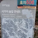 연화재사거리-새천년대로 | 포항 양학산 등산(시청-방장산-이마트-양학산-탑산-학도의용군전승기념관-철길숲)