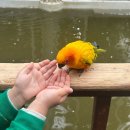 경주버드파크 이미지