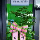 당구 마스터 이미지