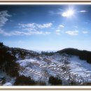 이강영당 | 임명에 반발하고 있다!