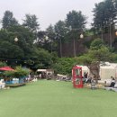 파인벨리럭셔리글램핑 이미지
