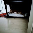 (주)케이소프트 이미지