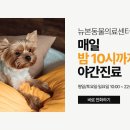 뉴본동물의료센터 이미지