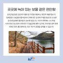 자연하모니 이미지