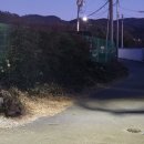 창평동 지석묘군 이미지