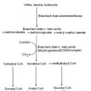 주사랑의원 이미지