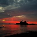 엄마와까치집두개 이미지