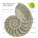 지구사 이미지