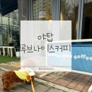 성남대로 997번길 이미지