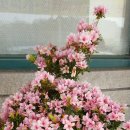 남일공인중개사사무소 이미지