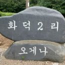 오뭉 Daum카페