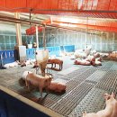 비전농장 이미지