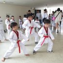 마루한태권도 이미지