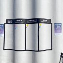 다이브11 | [휴먼밸런스] 부산 클라우드미포 11/15 웰니스다이브 행사 후기