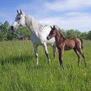 작은농원 이미지