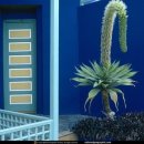 a some day 이미지