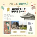 단이슬