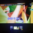 와라와라 노래연습장 이미지