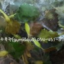 사곡초등학교 이미지