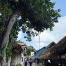 (주)피피비스튜디오스 | 피피섬 도보 여행 일정 가볼만한곳 | 선셋 일몰 전망대 뷰포인트, 무에타이 경기장, 라이브바, 맛집