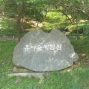 생거진천 유아숲체험원 이미지