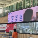 스타벅스 앞 교통섬 | 홍콩 란타우섬 옹핑 360 완벽 가이드: 세계 10대 케이블카, 크리스탈 케이블카와 옹핑 마을 여행 정보