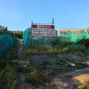 시골산장 | [마곡 오리주물럭 잘하는 곳] 시골감성맛집 개화산장 후기