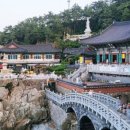 해동 산 곰장어 이미지