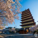 경주 키즈풀빌라 청담펜션 이미지