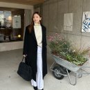 (주)라쿤소프트 | 11월 출근룩 데일리룩 (sie 시에 그레이룸 베뉴엣 오브유이 오브오브 르아보네 에퓨레) 겨울 코디