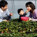 준혁농장 이미지