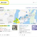포코헤어 이미지