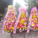 한국장애인노동조합총연맹 취임식 축하화환 기념비적인 순간을 멋지게