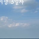 와사비 호테루 네이버블로그