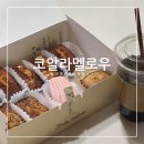 코알라멜로우 이미지