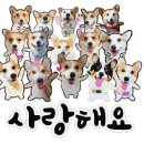지주 헤어 살롱 이미지