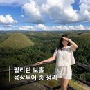 홍수농장 | 필리핀 보홀 육상투어 현장 예매 가격 코스 시간 총정리