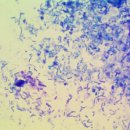 나인동물의료센터 이미지