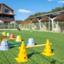 강릉신나는펜션 이미지