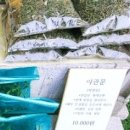 부부산약초