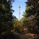 가락재정상쉼터 이미지