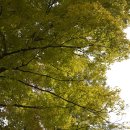 박촌한의원 이미지