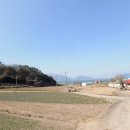 금화공인중개사사무소 이미지