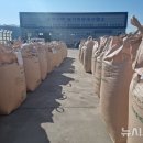 조양곡물 이미지