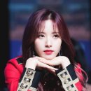 뽀데이 이미지