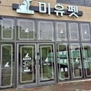미유펫 강아지고양이 구미점 이미지