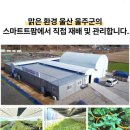 주식회사 굿프렌즈 네이버블로그