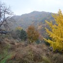 국골민박 이미지