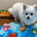 레츠개릿 이미지