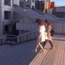 미편 이미지